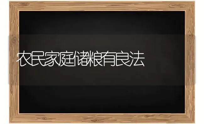 农民家庭储粮有良法 | 养殖技术大全