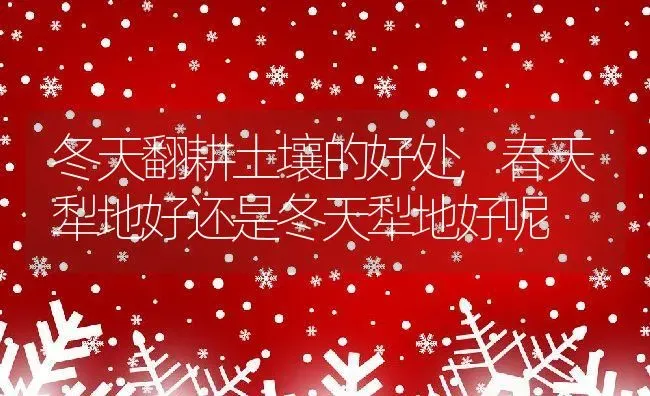 冬天翻耕土壤的好处,春天犁地好还是冬天犁地好呢 | 养殖学堂