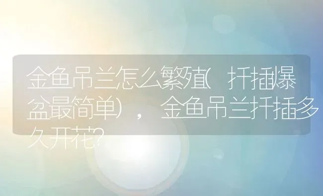 金鱼吊兰怎么繁殖(扦插爆盆最简单),金鱼吊兰扦插多久开花？ | 养殖科普