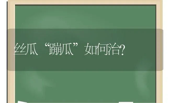 丝瓜“蹦瓜”如何治? | 养殖技术大全