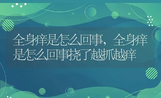 全身痒是怎么回事,全身痒是怎么回事挠了越抓越痒 | 养殖资料