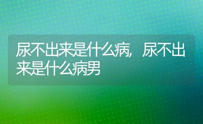 尿不出来是什么病,尿不出来是什么病男 | 养殖科普