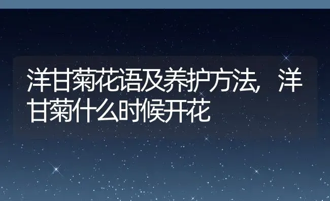 洋甘菊花语及养护方法,洋甘菊什么时候开花 | 养殖学堂