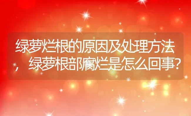 绿萝烂根的原因及处理方法,绿萝根部腐烂是怎么回事？ | 养殖科普