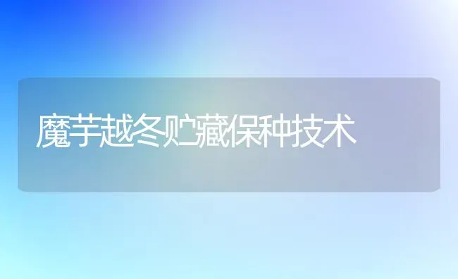 魔芋越冬贮藏保种技术 | 养殖技术大全