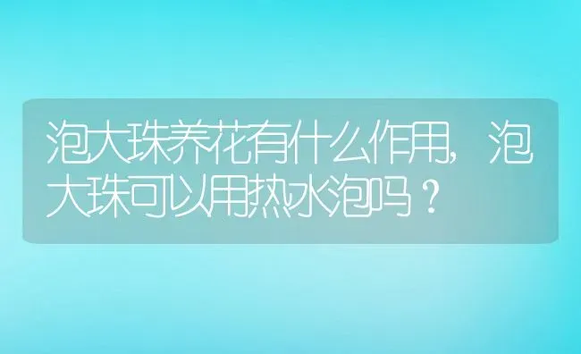 泡大珠养花有什么作用,泡大珠可以用热水泡吗？ | 养殖科普