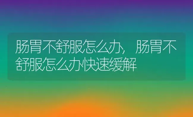 肠胃不舒服怎么办,肠胃不舒服怎么办快速缓解 | 养殖资料