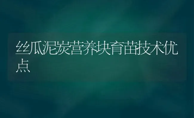 丝瓜泥炭营养块育苗技术优点 | 养殖技术大全