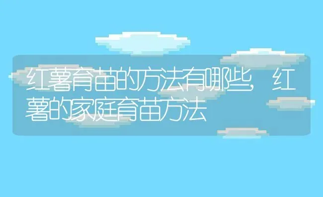 红薯育苗的方法有哪些,红薯的家庭育苗方法 | 养殖学堂