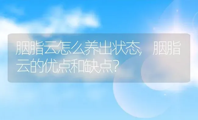 胭脂云怎么养出状态,胭脂云的优点和缺点？ | 养殖科普