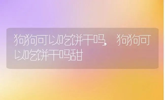 狗狗可以吃饼干吗,狗狗可以吃饼干吗甜 | 养殖资料