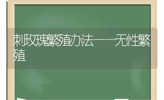 刺玫瑰繁殖办法——无性繁殖 | 养殖知识