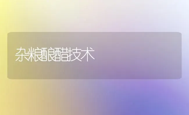 杂粮酿醋技术 | 养殖技术大全