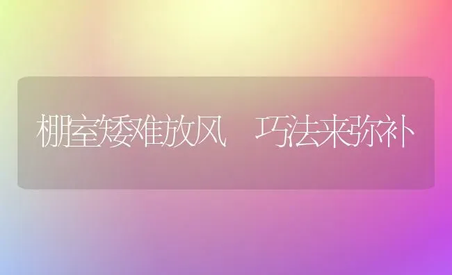 棚室矮难放风 巧法来弥补 | 养殖技术大全