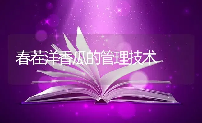 春茬洋香瓜的管理技术 | 养殖知识