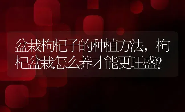 盆栽枸杞子的种植方法,枸杞盆栽怎么养才能更旺盛？ | 养殖科普