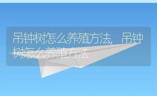 吊钟树怎么养殖方法,吊钟树怎么养殖方法 | 养殖科普
