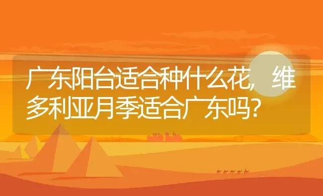 广东阳台适合种什么花,维多利亚月季适合广东吗？ | 养殖学堂