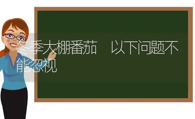 冬季大棚番茄 以下问题不能忽视 | 养殖技术大全