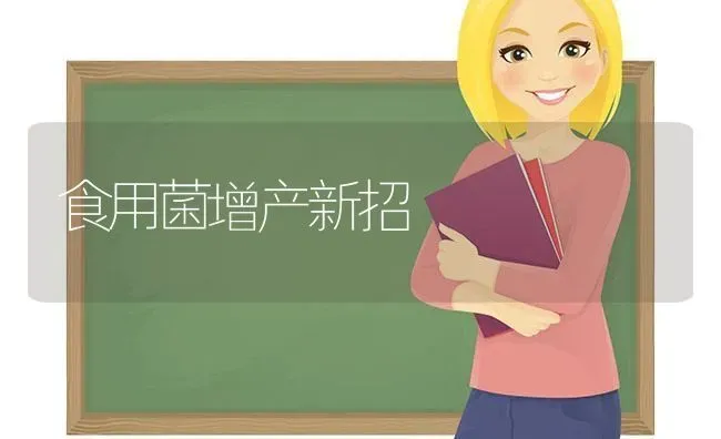 繁殖母牛的日常管理技术 | 养殖技术大全