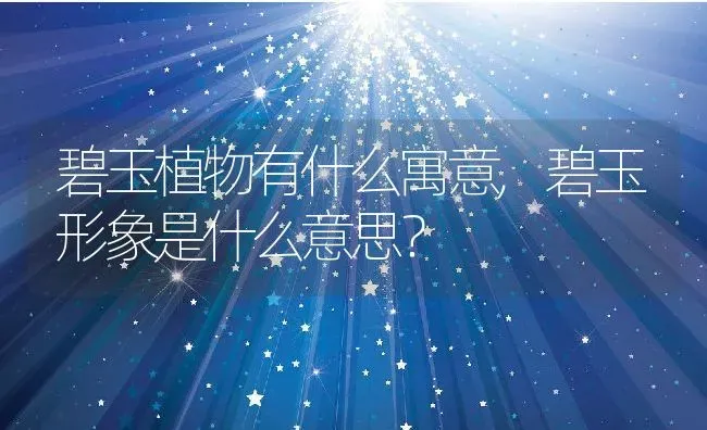 碧玉植物有什么寓意,碧玉形象是什么意思？ | 养殖科普