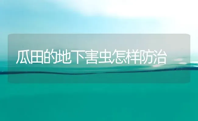 瓜田的地下害虫怎样防治 | 养殖技术大全