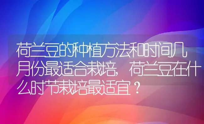 荷兰豆的种植方法和时间几月份最适合栽培,荷兰豆在什么时节栽培最适宜？ | 养殖科普