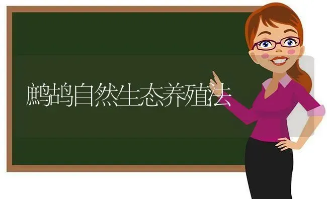 鹧鸪自然生态养殖法 | 养殖知识