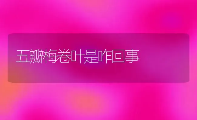 五瓣梅卷叶是咋回事 | 养殖知识