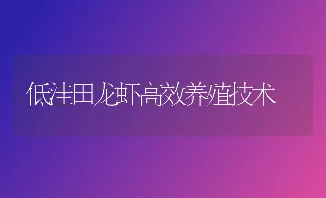 低洼田龙虾高效养殖技术 | 养殖知识