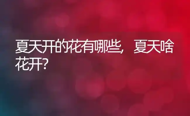 夏天开的花有哪些,夏天啥花开？ | 养殖学堂