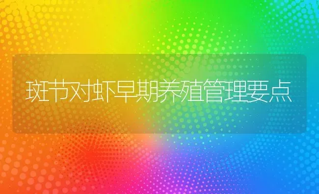 斑节对虾早期养殖管理要点 | 养殖技术大全