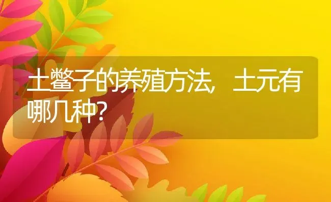 土鳖子的养殖方法,土元有哪几种？ | 养殖科普