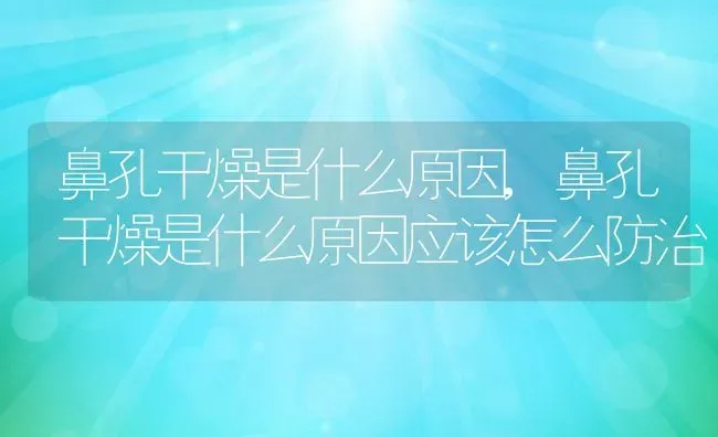 鼻孔干燥是什么原因,鼻孔干燥是什么原因应该怎么防治 | 养殖资料