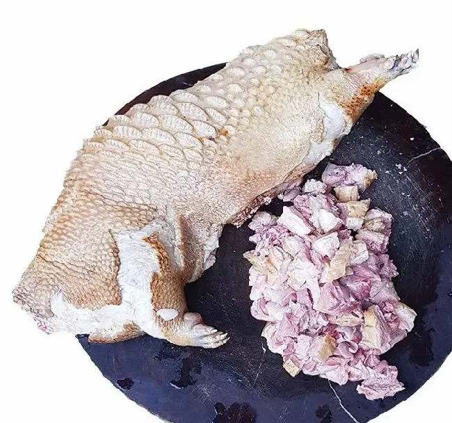 黄焖豪猪 豪猪做法视频教程【视频】 | 农广天地