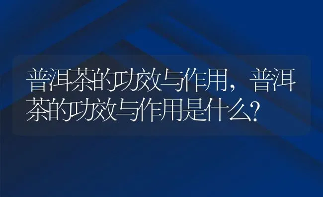 普洱茶的功效与作用,普洱茶的功效与作用是什么？ | 养殖科普