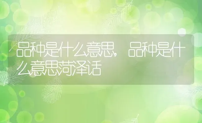 品种是什么意思,品种是什么意思菏泽话 | 养殖资料