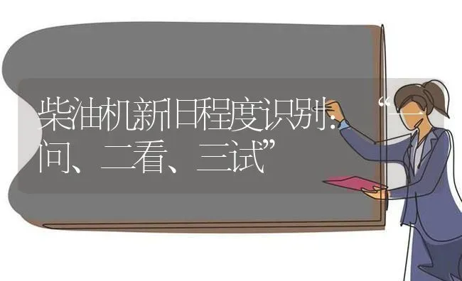 柴油机新旧程度识别：“一问、二看、三试” | 养殖技术大全