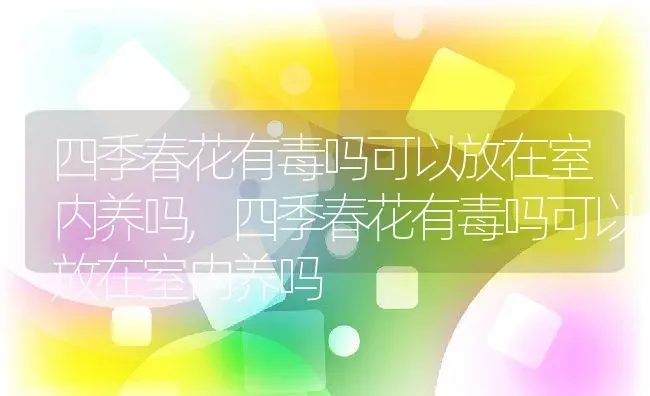 四季春花有毒吗可以放在室内养吗,四季春花有毒吗可以放在室内养吗 | 养殖科普