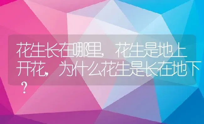 花生长在哪里,花生是地上开花，为什么花生是长在地下？ | 养殖科普