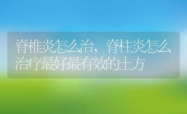 脊椎炎怎么治,脊柱炎怎么治疗最好最有效的土方 | 养殖资料