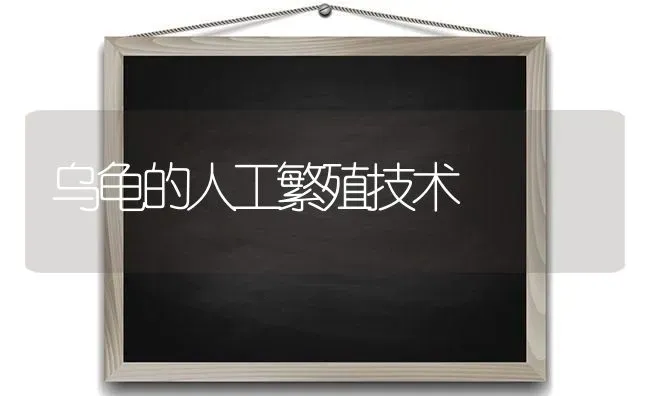 乌龟的人工繁殖技术 | 养殖技术大全
