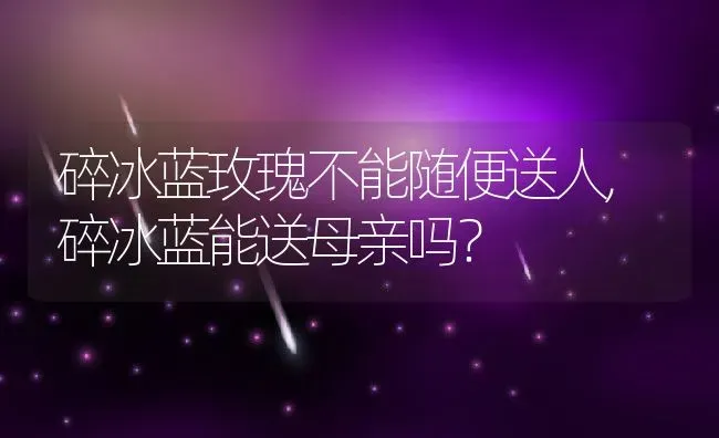 碎冰蓝玫瑰不能随便送人,碎冰蓝能送母亲吗？ | 养殖学堂