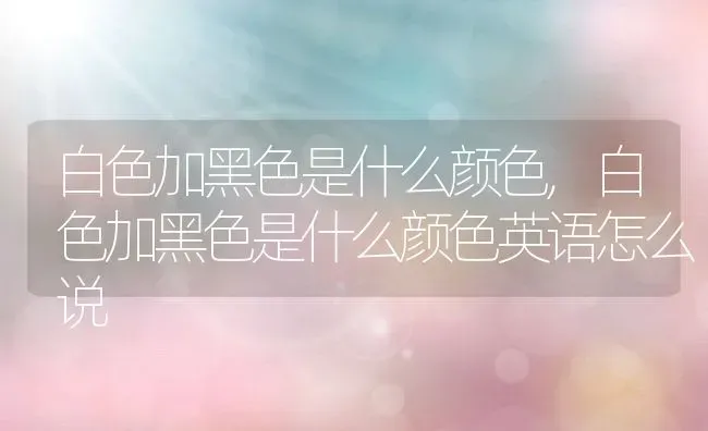 白色加黑色是什么颜色,白色加黑色是什么颜色英语怎么说 | 养殖科普