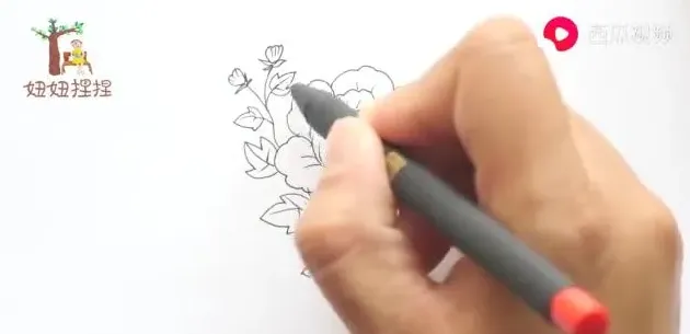 牡丹花怎么画,牡丹怎么画儿童版简笔画？