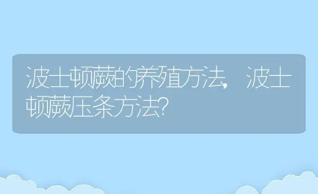 波士顿蕨的养殖方法,波士顿蕨压条方法？ | 养殖科普