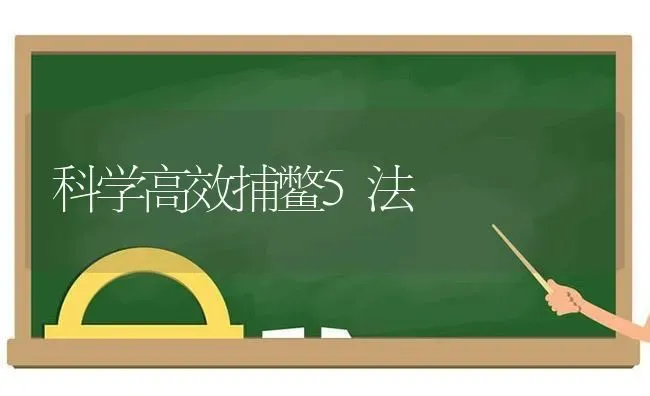 科学高效捕鳖5法 | 养殖知识