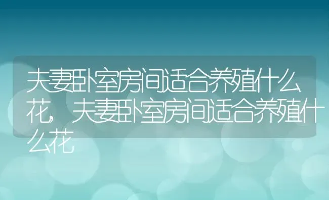夫妻卧室房间适合养殖什么花,夫妻卧室房间适合养殖什么花 | 养殖科普