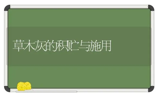 草木灰的积贮与施用 | 养殖技术大全