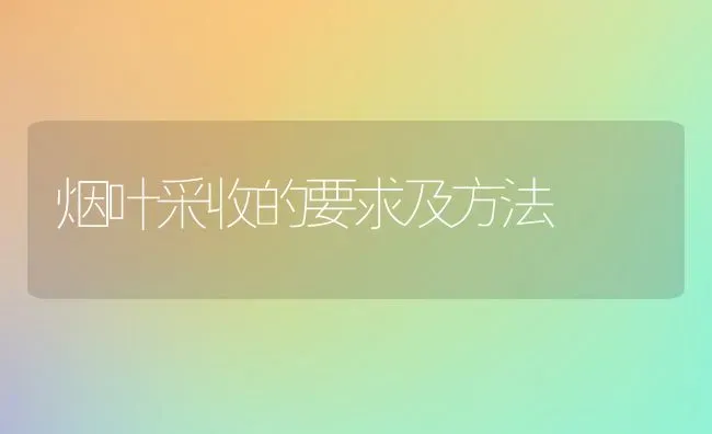 烟叶采收的要求及方法 | 养殖技术大全